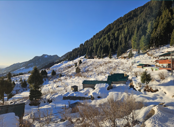 Property surrounded by snow